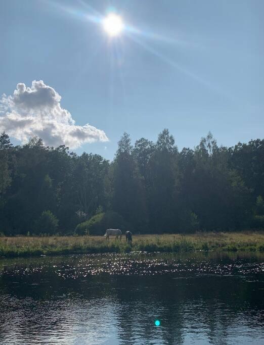 Ett Naturparadis Intill Moerrumsan Svängsta Exterior foto
